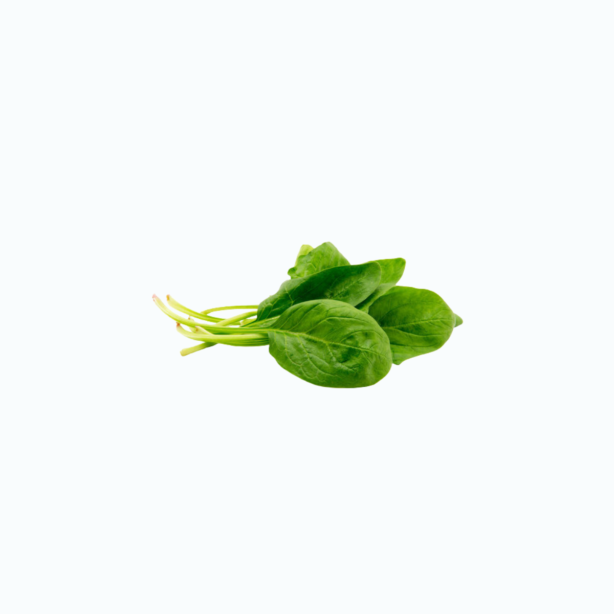 Colina + Inositol + ALA