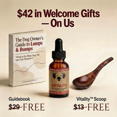 Vitality™ Turkey Tail Extract