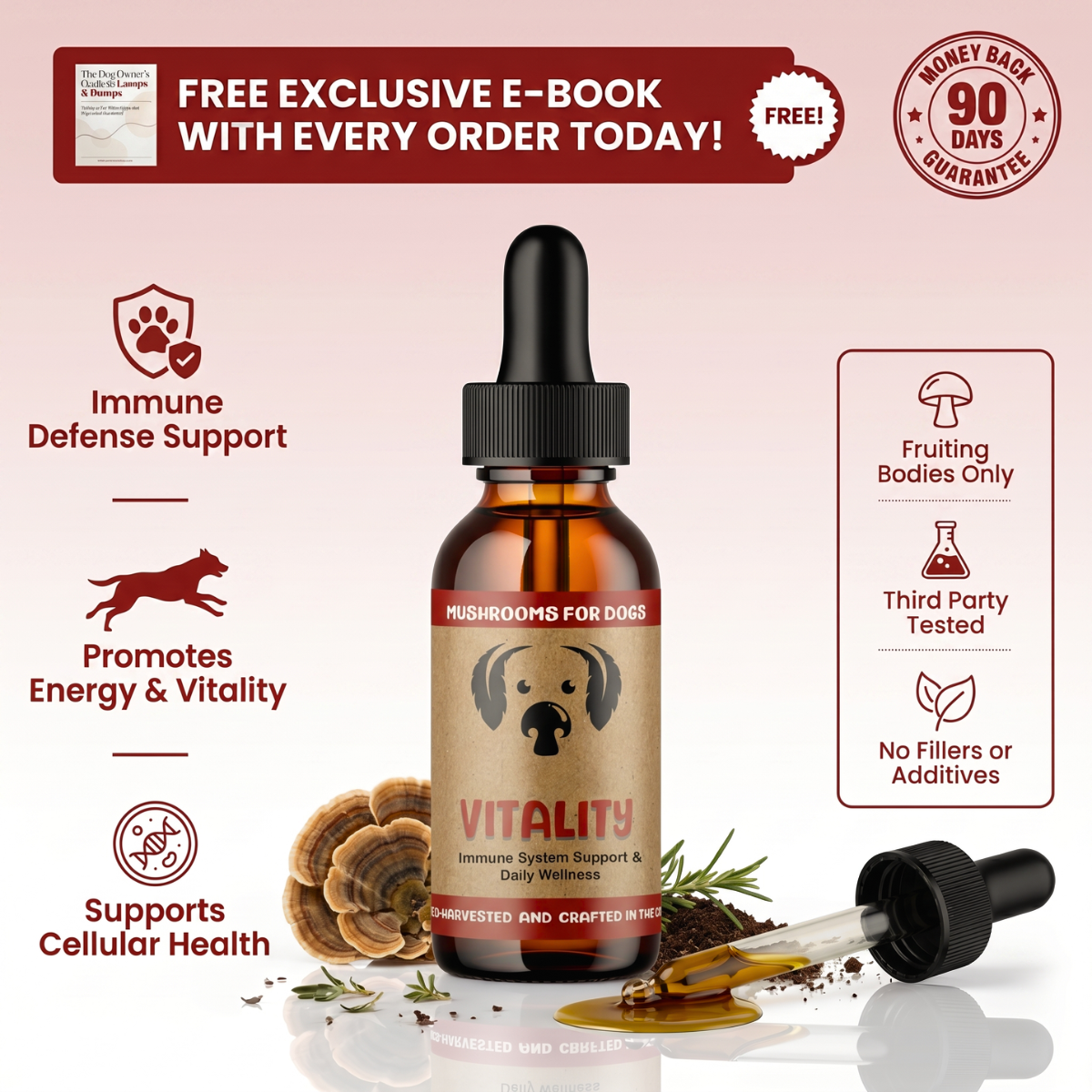 Vitality™ Turkey Tail Extract