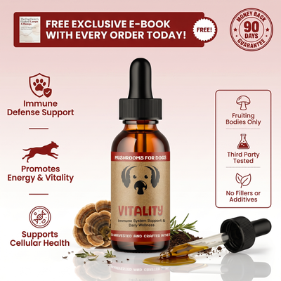 Vitality™ Turkey Tail Extract