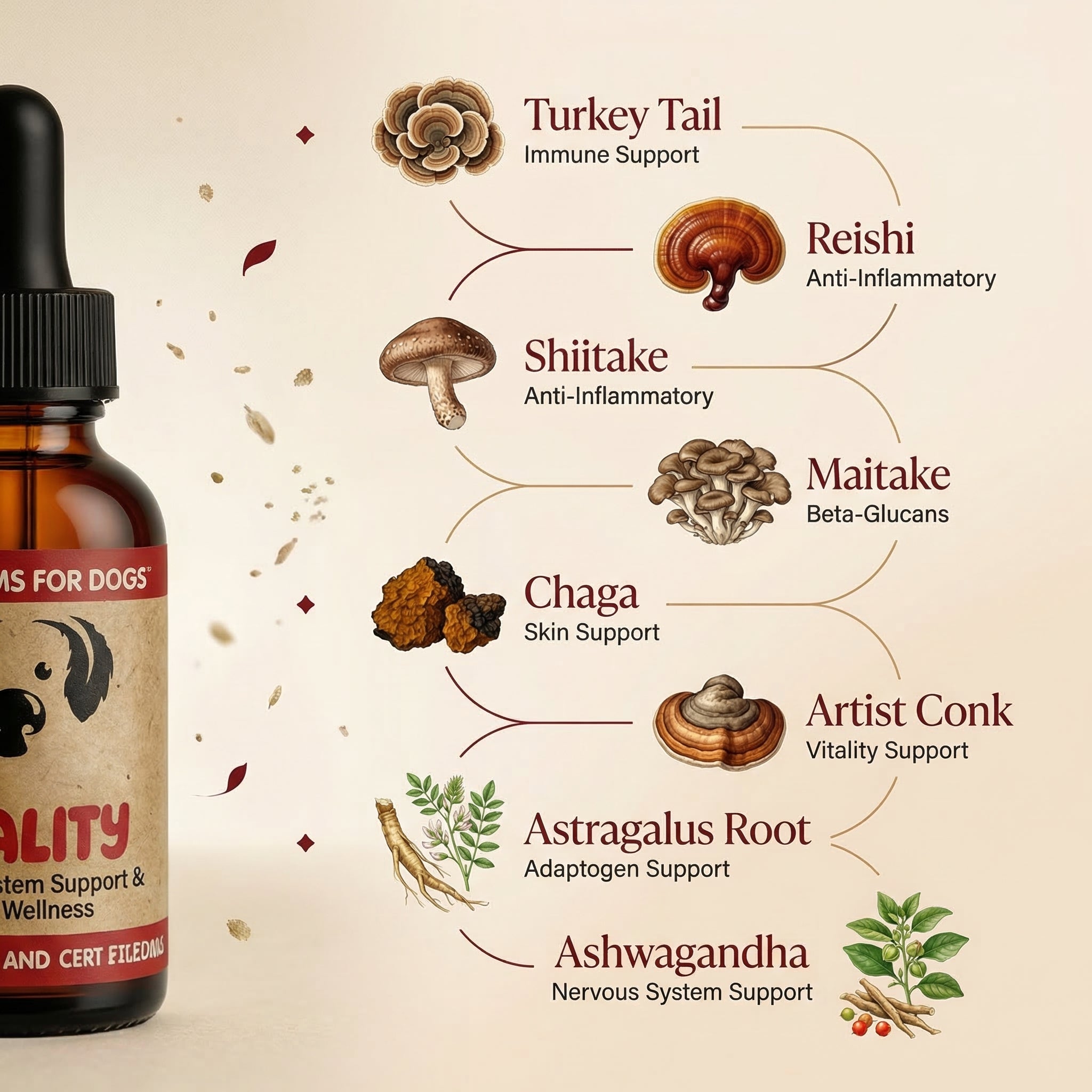 Vitality™ Turkey Tail Extract