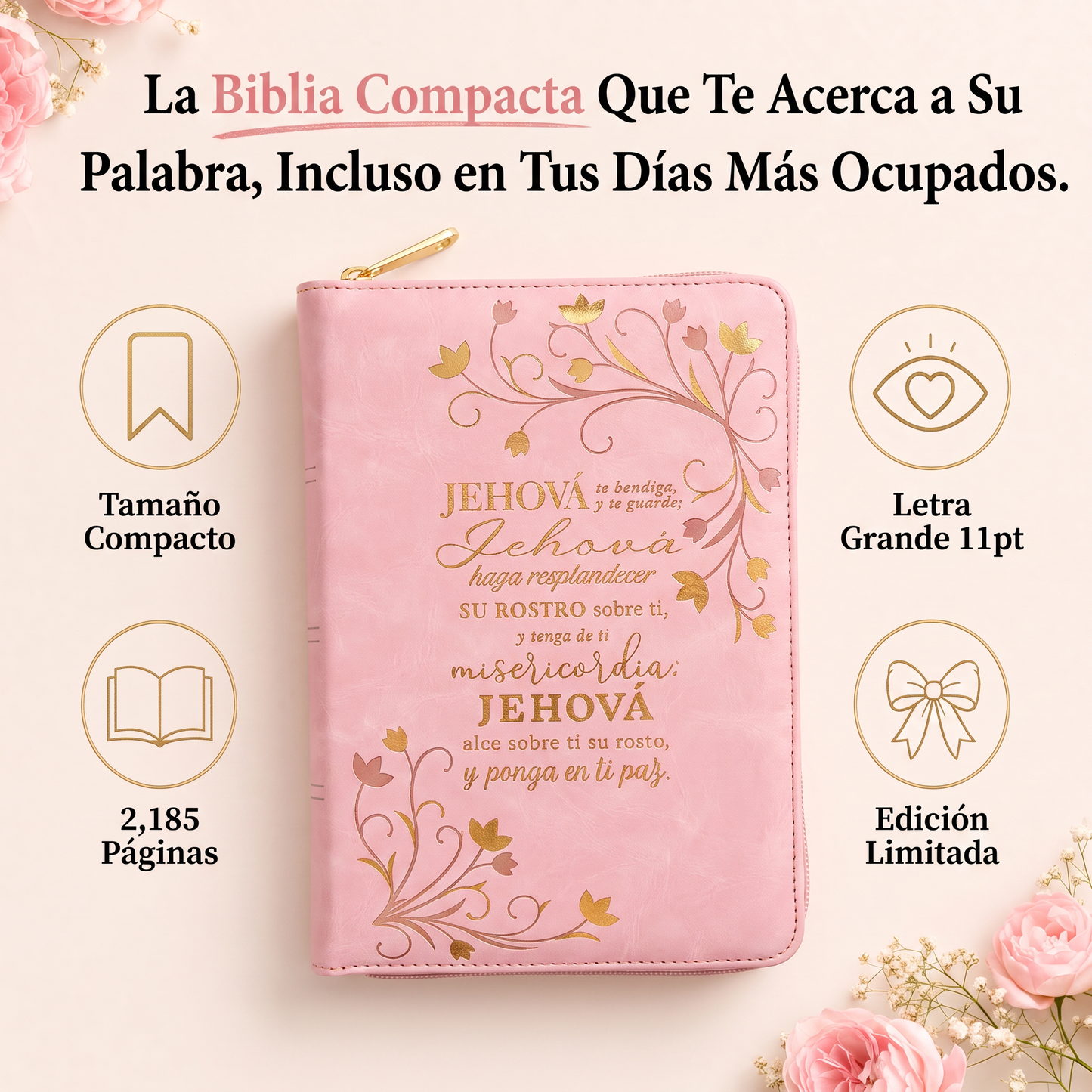Soralise™ Biblia Compacta Letra Grande RVR 1960