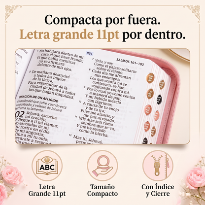Soralise™ Biblia Compacta Letra Grande RVR 1960